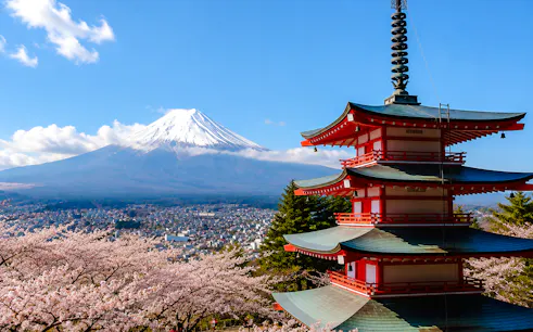 Chureito Pagoda with Mt. Fuji in the background during cherry blossom season, Fujiyoshida.