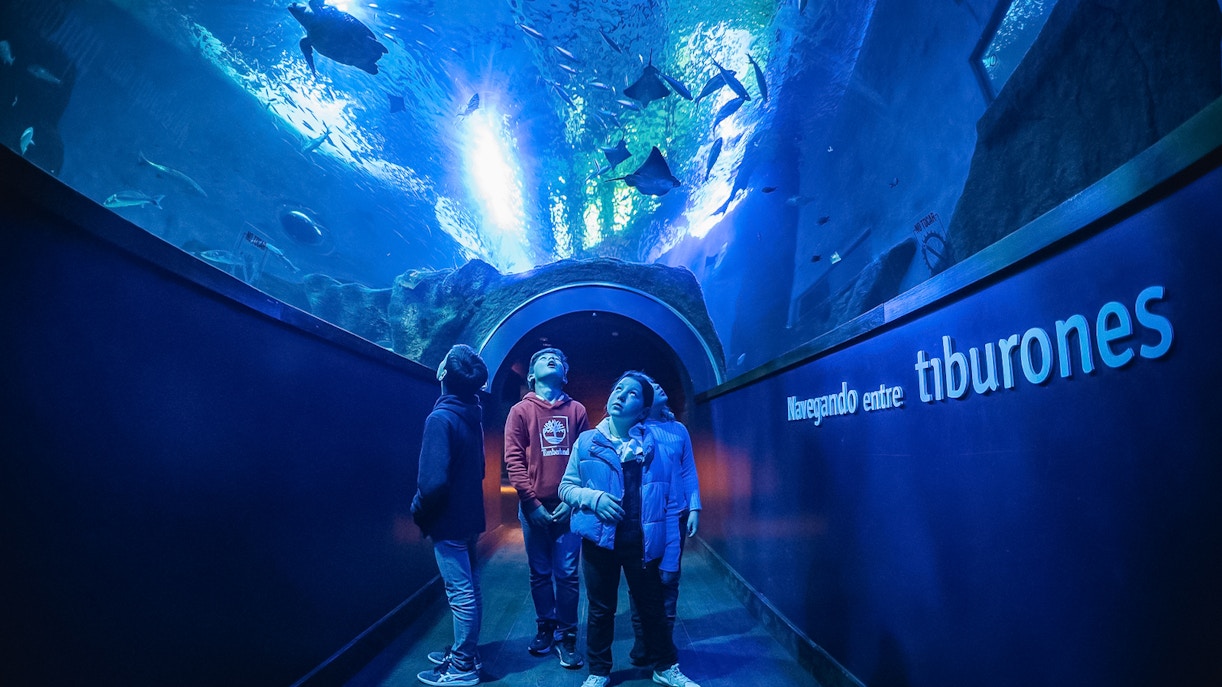 Sevilla Aquarium Visitor tips