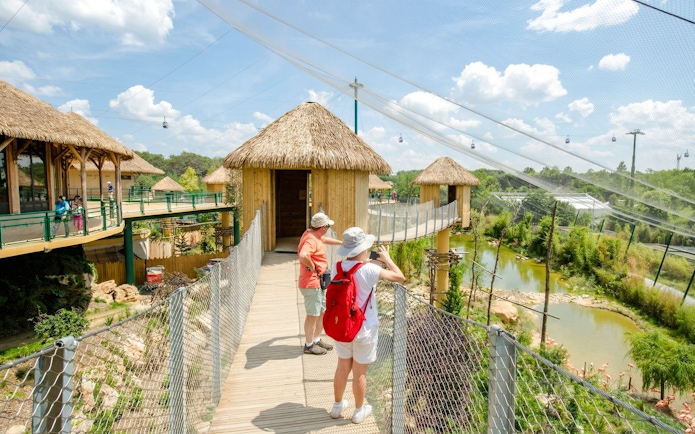 Visitors on a walkway at Zooparc de Beauval, Loire Valley, France, overlooking flamingos and thatched huts.