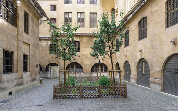 Women’s Courtyard at the Conciergerie in Paris with trees and historic architecture.