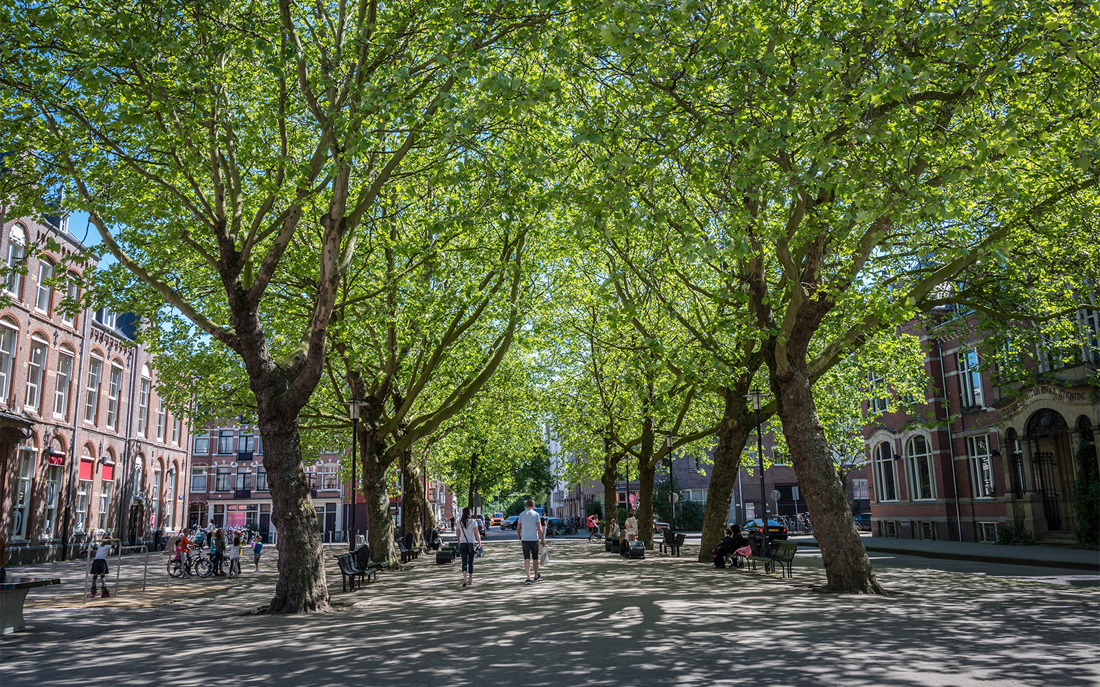 Leafy residential street in Amsterdam East with traditional Dutch houses and bicycles.