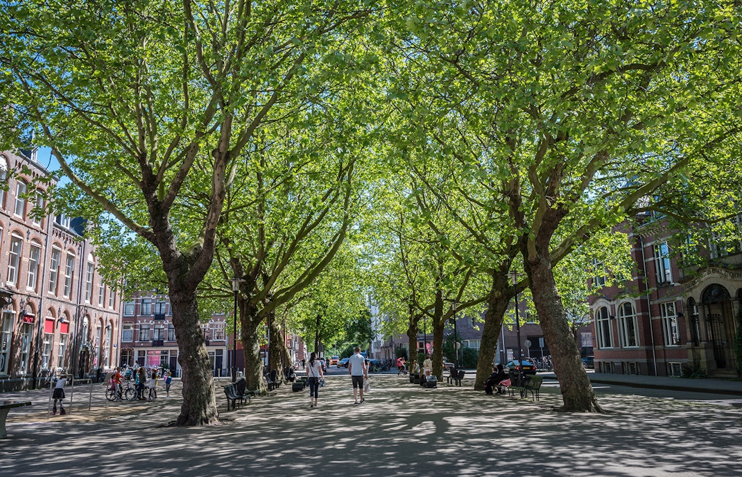 anne frank house facts