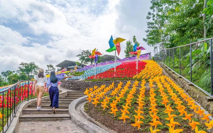 Colorful pinwheels and flower garden at De Windmills, Dairyland Farm Theme Park Prigen.