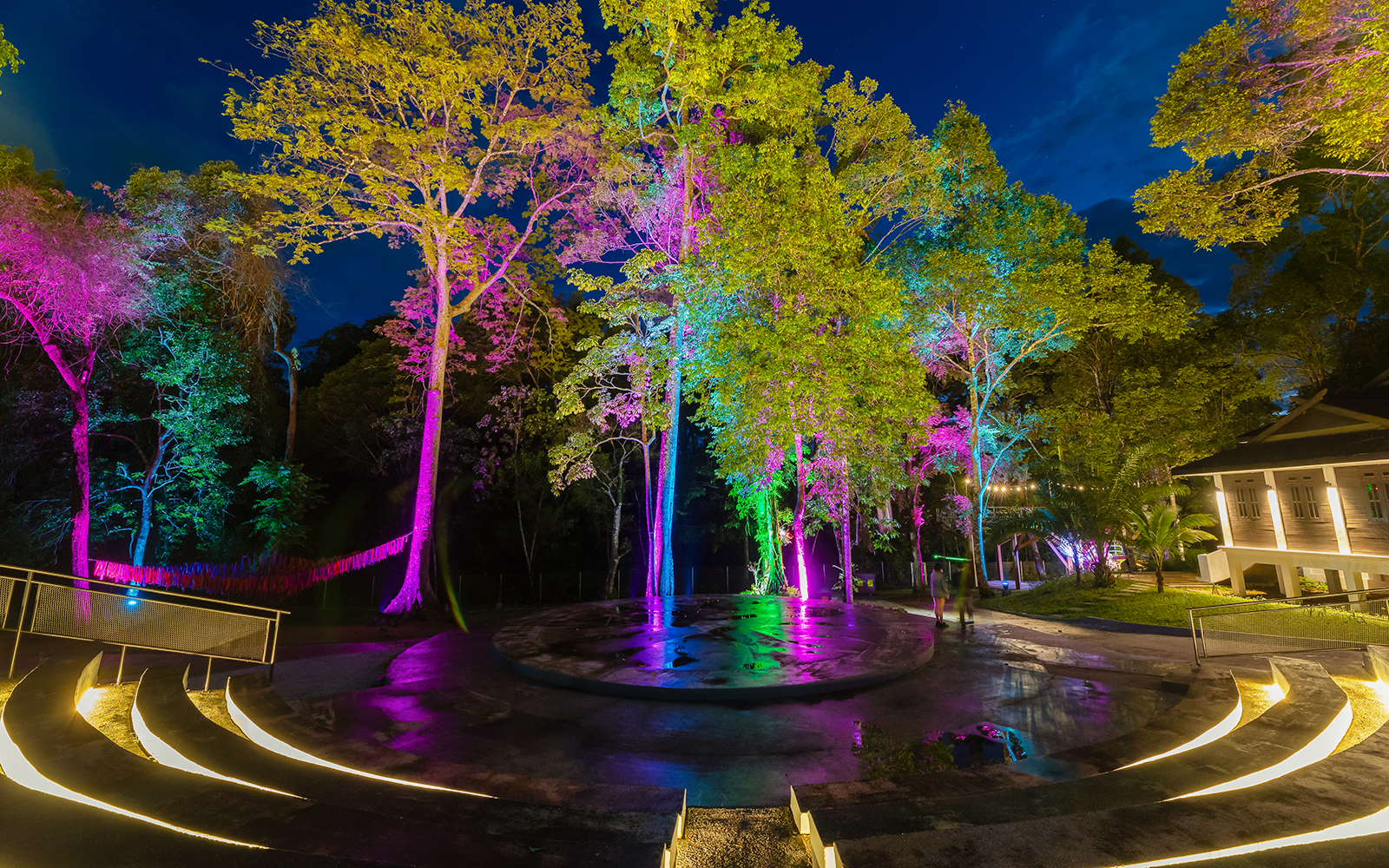 Colorful lights illuminate trees in Malaysia's themed attraction, blending rainforest and fantasy elements.