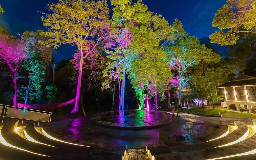 Colorful lights illuminate trees in Malaysia's themed attraction, blending rainforest and fantasy elements.