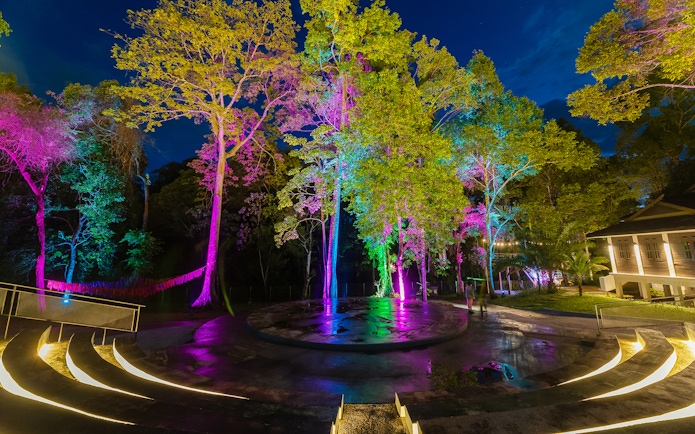 Colorful lights illuminate trees in Malaysia's themed attraction, blending rainforest and fantasy elements.
