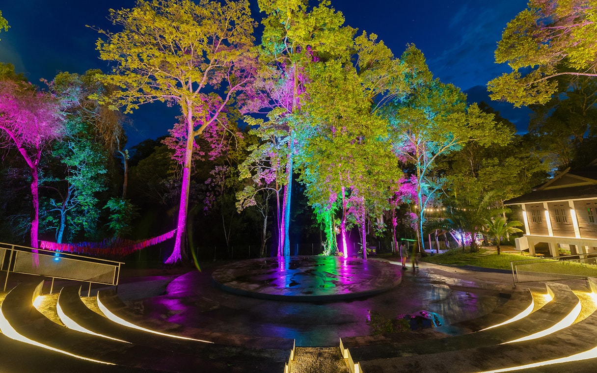 Colorful lights illuminate trees in Malaysia's themed attraction, blending rainforest and fantasy elements.