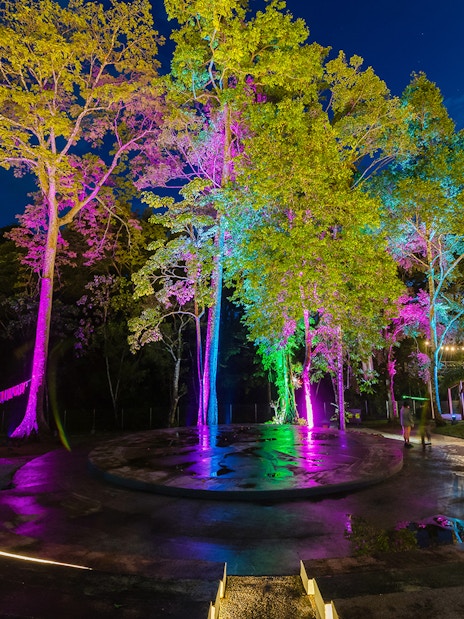 Colorful lights illuminate trees in Malaysia's themed attraction, blending rainforest and fantasy elements.