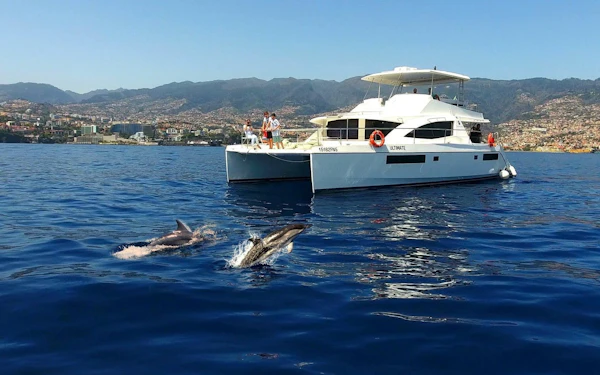 Funchal Small-Group Luxury Catamaran Dolphin & Whale Watching