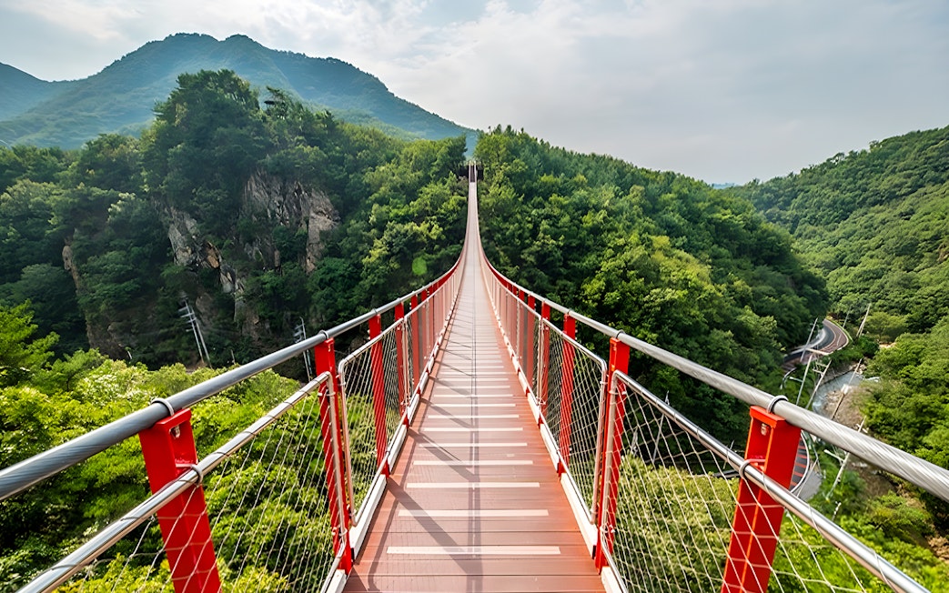 Suspension bridge over lush green valley in DMZ area, South Korea.