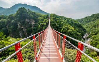 Suspension bridge over lush green valley in DMZ area, South Korea.