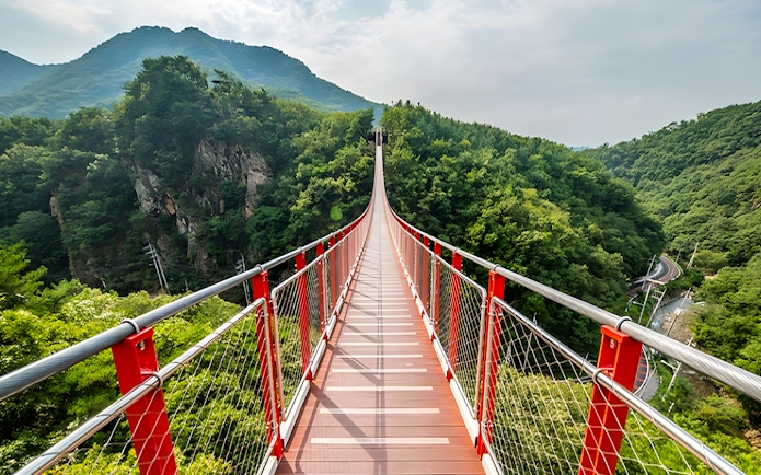 Suspension bridge over lush green valley in DMZ area, South Korea.
