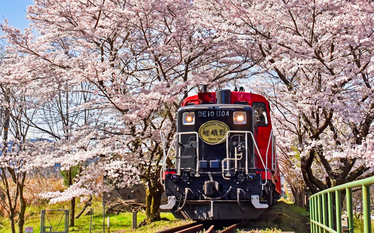 sagano romantic train-11 sagano romantic train-11