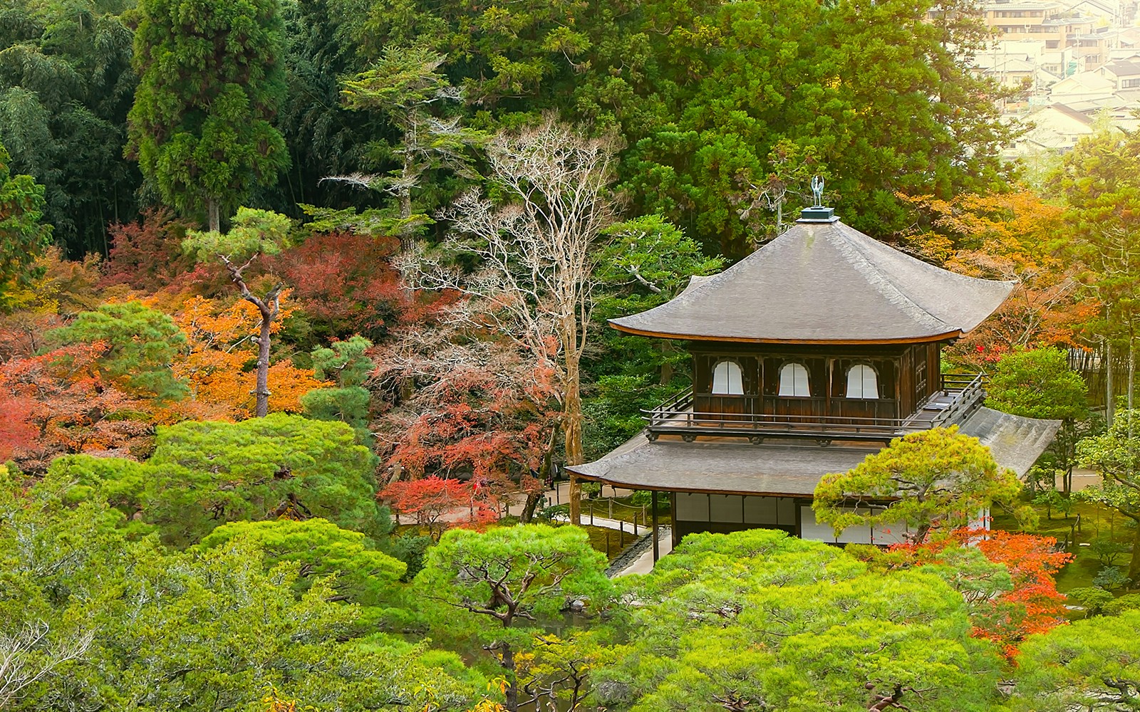 Top view of UNESCO World Heritage site Ginkakuji Temple on the hill surrounded by autumn leaves in Kyoto, Japan