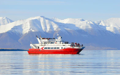 Whale watching boat in Akureyri with snowy mountains in the background.
