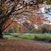 Centennial Parklands