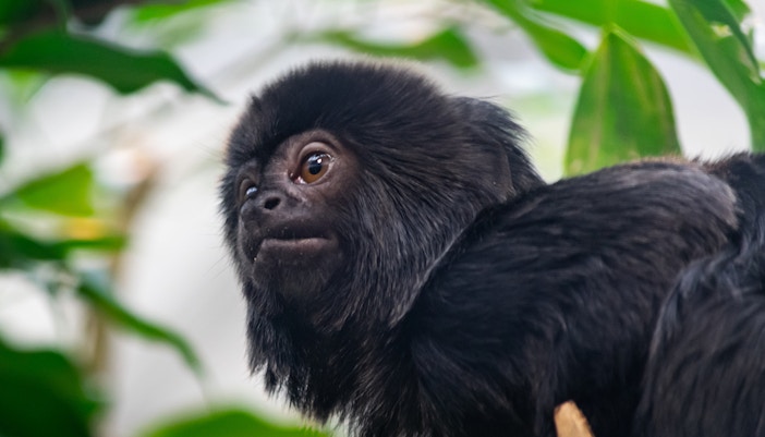 Zoo Barcelona Tickets online