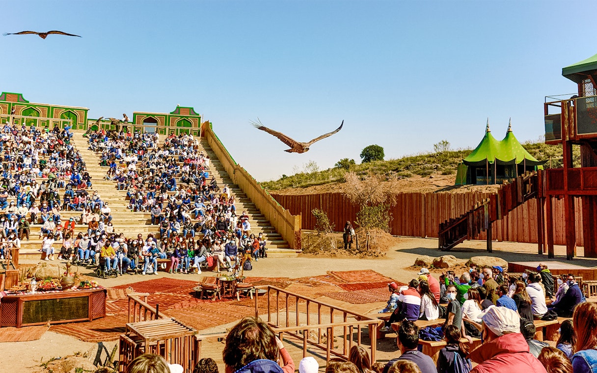 Audience watching a bird show at Puy du Fou España park.