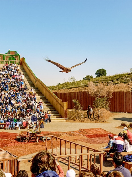 Audience watching a bird show at Puy du Fou España park.