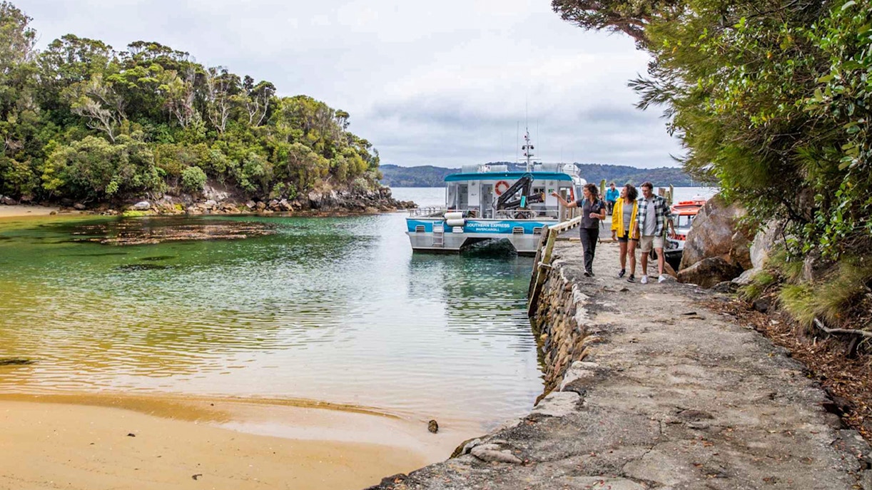 Tourists disembarking from boat at Ulva Island, New Zealand, surrounded by lush greenery.