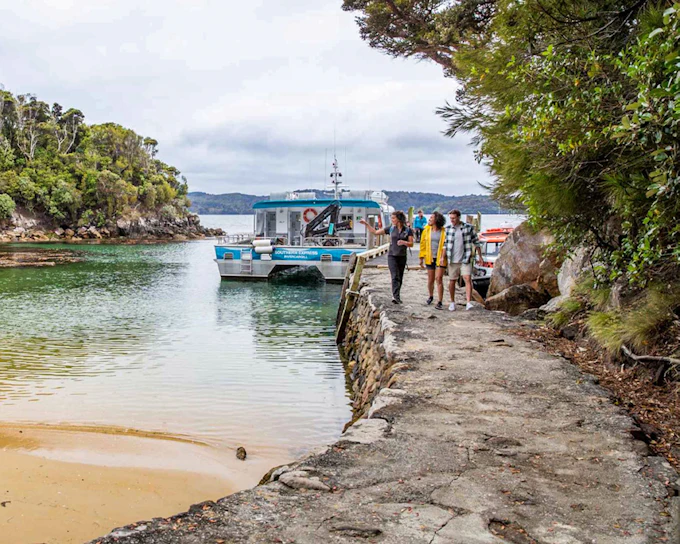From Stewart Island: Ulva Island Explorer Tour with Paterson Inlet Cruise
