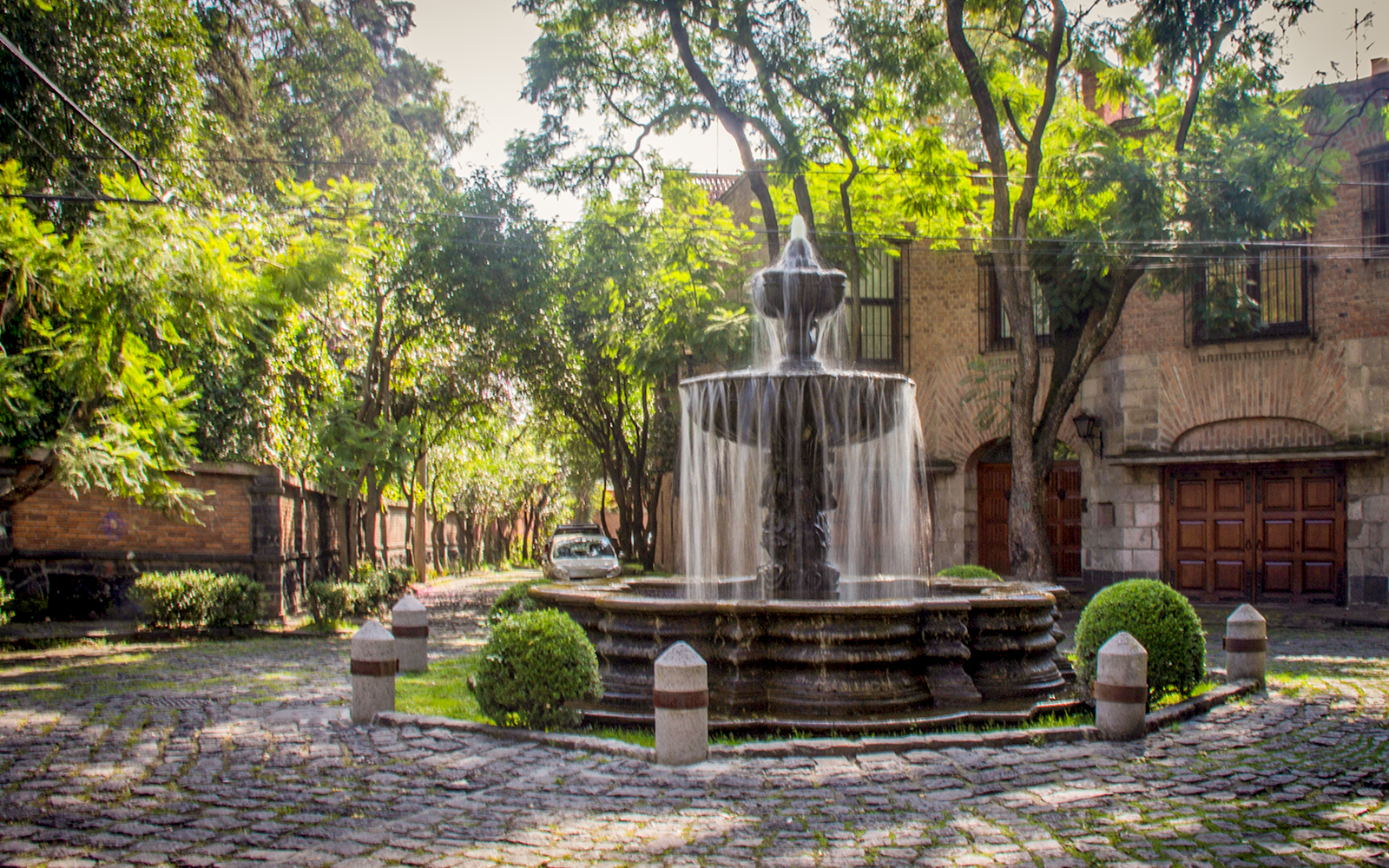 Fountain surrounded by lush greenery in Chimalistac orchard, San Angel, Mexico City.