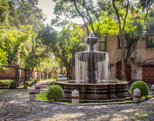 Fountain surrounded by lush greenery in Chimalistac orchard, San Angel, Mexico City.