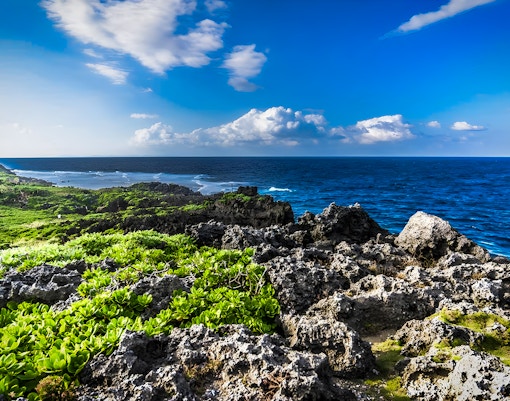Rocky coastline with lush greenery and ocean view on Okinawa Hip Hop Bus Tour C Course.