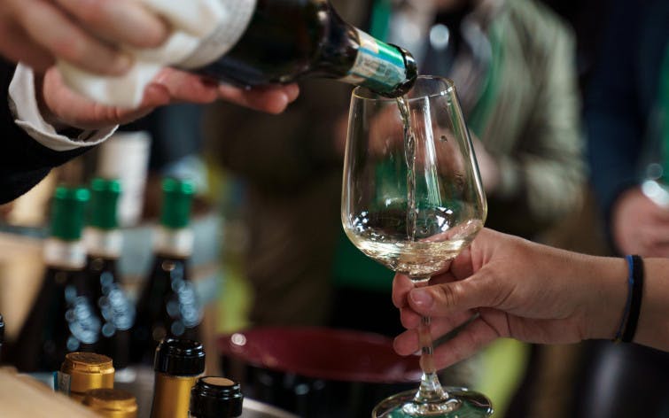 tour a piedi enogastronomico a bologna con degustazione di vini guidata da un sommelier-3