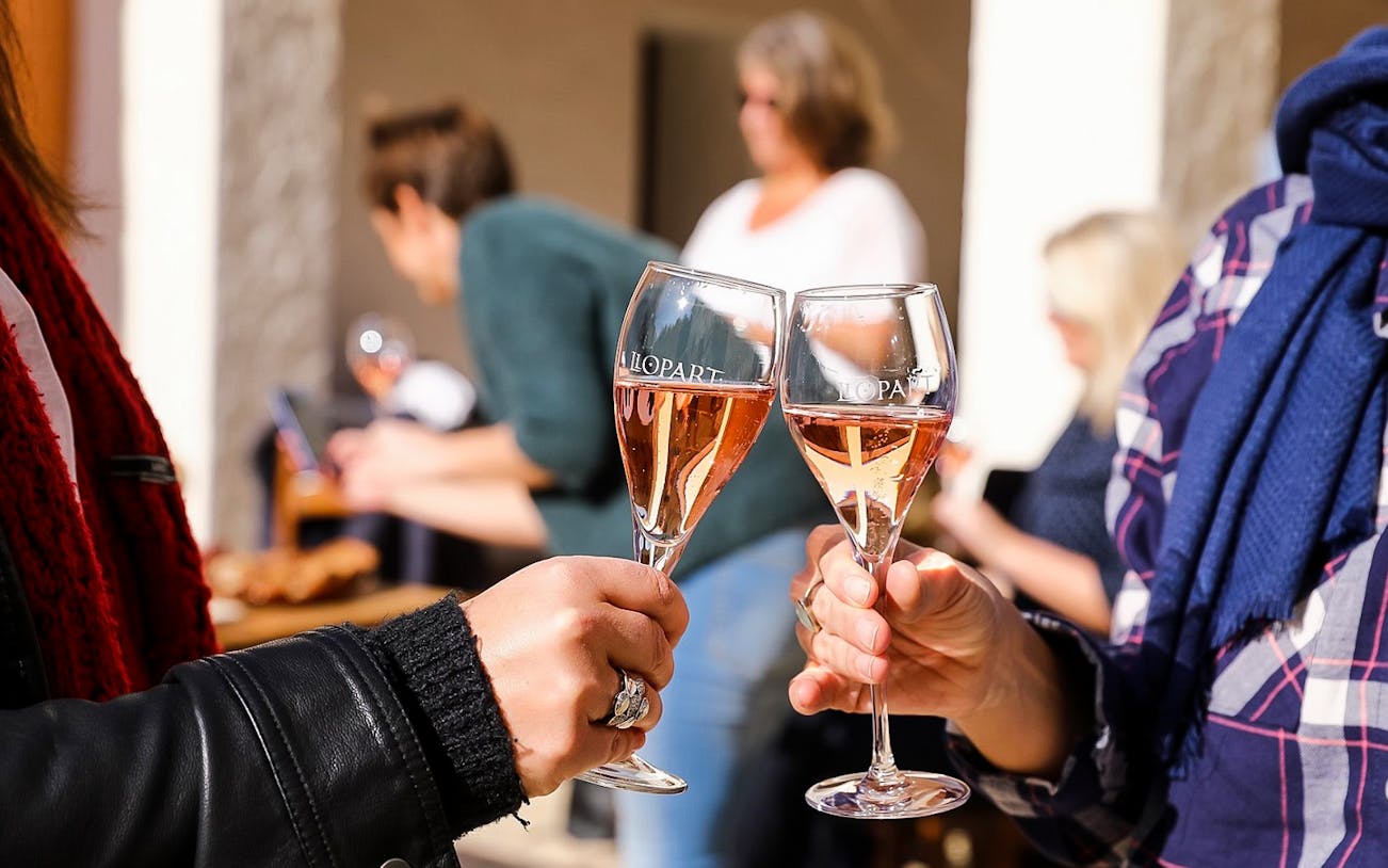 Toasting with glasses of sparkling wine on a Barcelona wine tour.