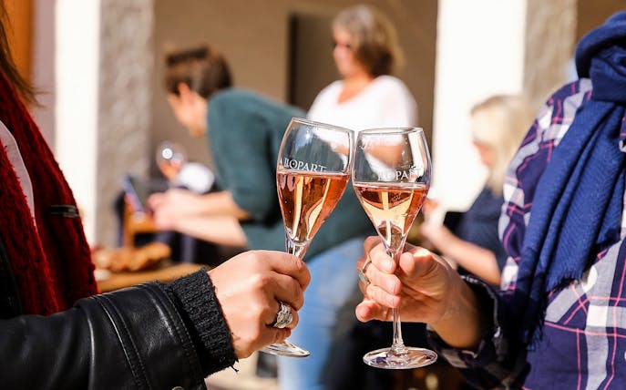 Toasting with glasses of sparkling wine on a Barcelona wine tour.