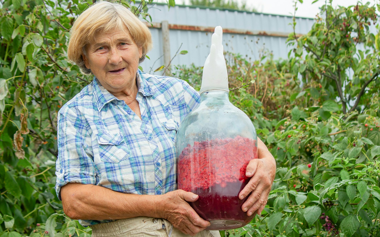 Elderly Woman Holding a Glass Bottle with Raspberries in the Garden in one go to save production of extra bottles