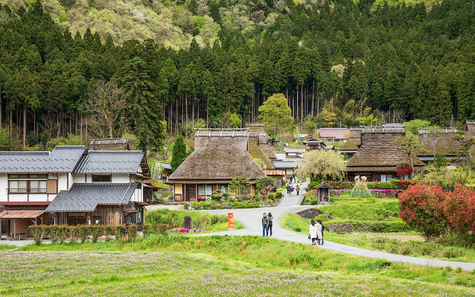 Traditional thatched-roof houses in Miyama Village, Kyoto, surrounded by lush greenery.