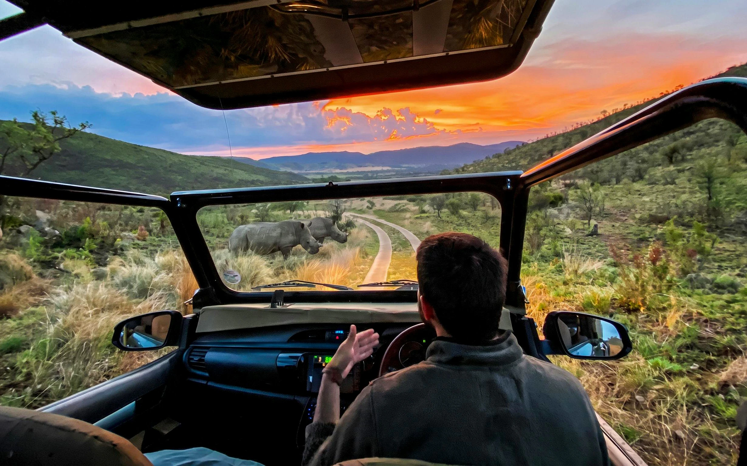 Sunset safari