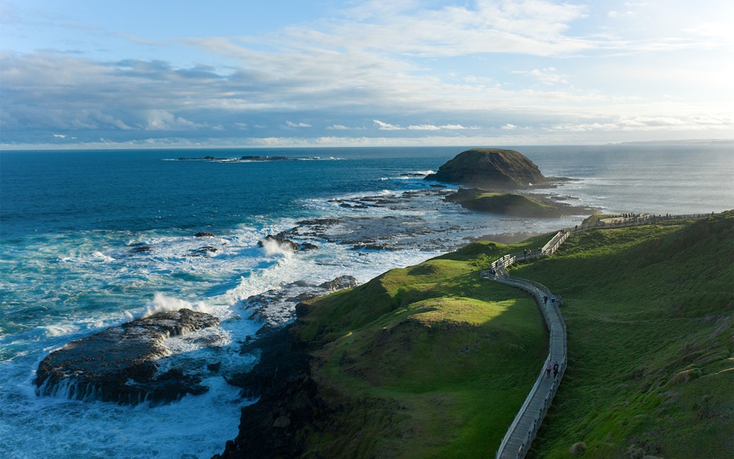 Phillip Island Nobbies coastal view with boardwalk and ocean waves.