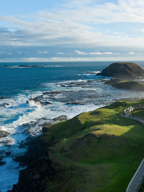 Phillip Island Nobbies coastal view with boardwalk and ocean waves.