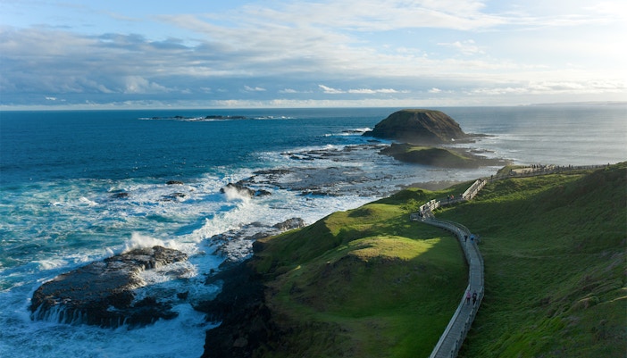 Phillip Island Nobbies coastal view with rugged cliffs and ocean waves.