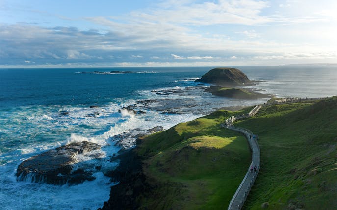 Phillip Island Nobbies coastal view with boardwalk and ocean waves.