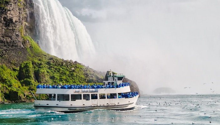 Tourists on a boat near the base of Niagara Falls, surrounded by mist and birds.
