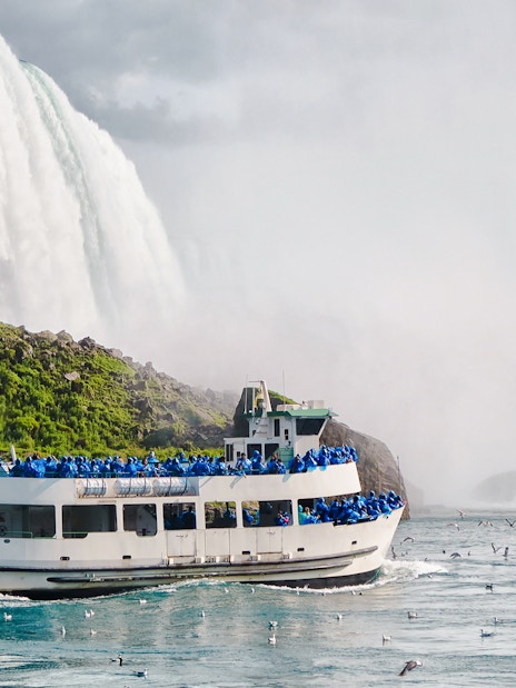 Tourists on a boat near the base of Niagara Falls, surrounded by mist and birds.
