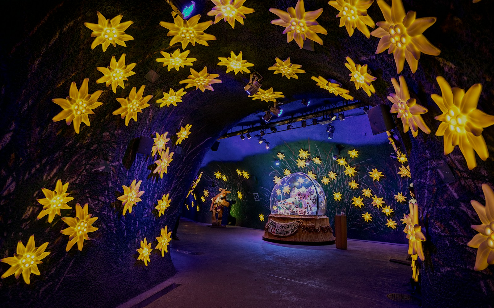 Illuminated edelweiss flowers in the Alpine Sensation tunnel at Jungfraujoch, Switzerland.