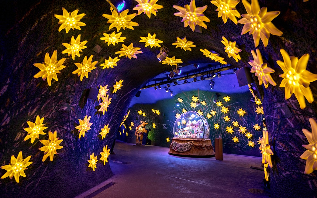 Illuminated edelweiss flowers in the Alpine Sensation tunnel at Jungfraujoch, Switzerland.