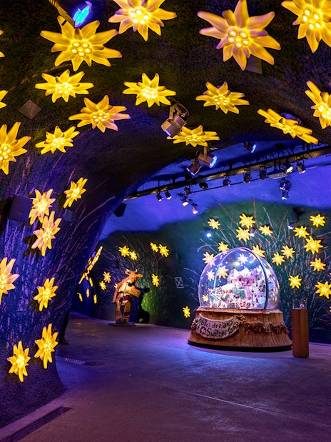 Illuminated edelweiss flowers in the Alpine Sensation tunnel at Jungfraujoch, Switzerland.