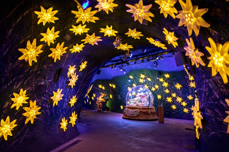 Alpine Sensation Observatory