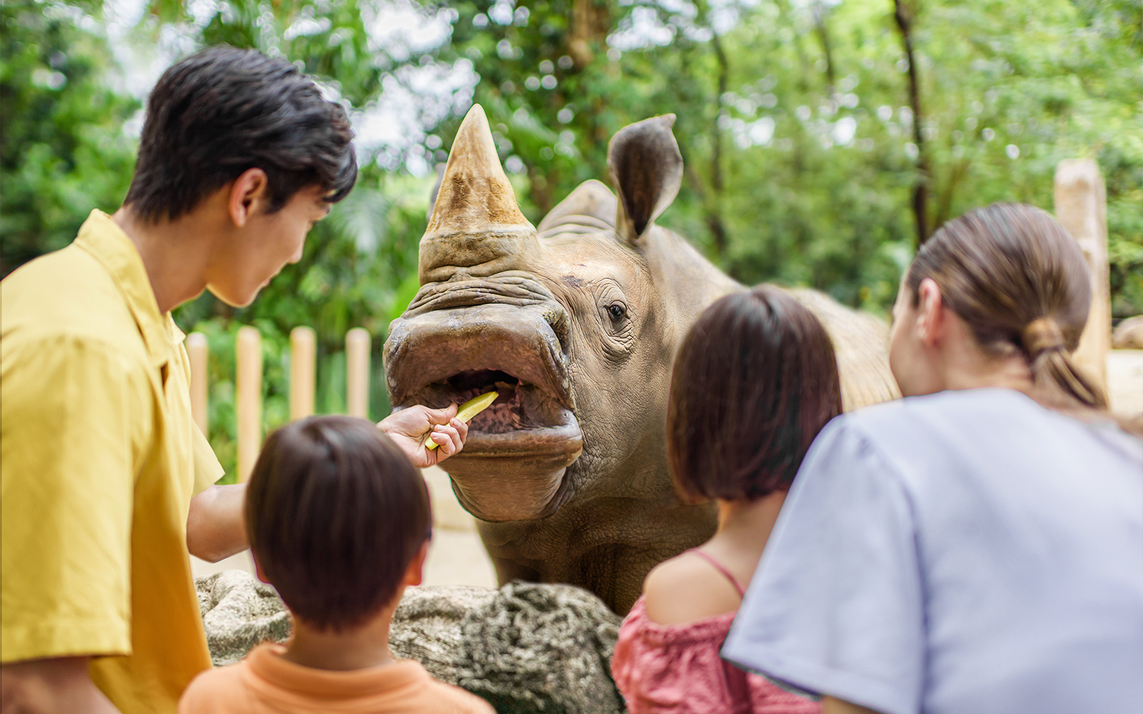 Family feeding a rhino at Singapore Zoo.