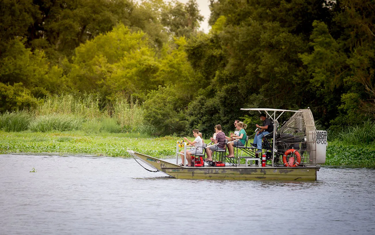 Small airboat with tourists exploring a swamp near New Orleans.