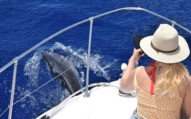 Tourist photographing dolphin from boat during Madeira whale watching tour.