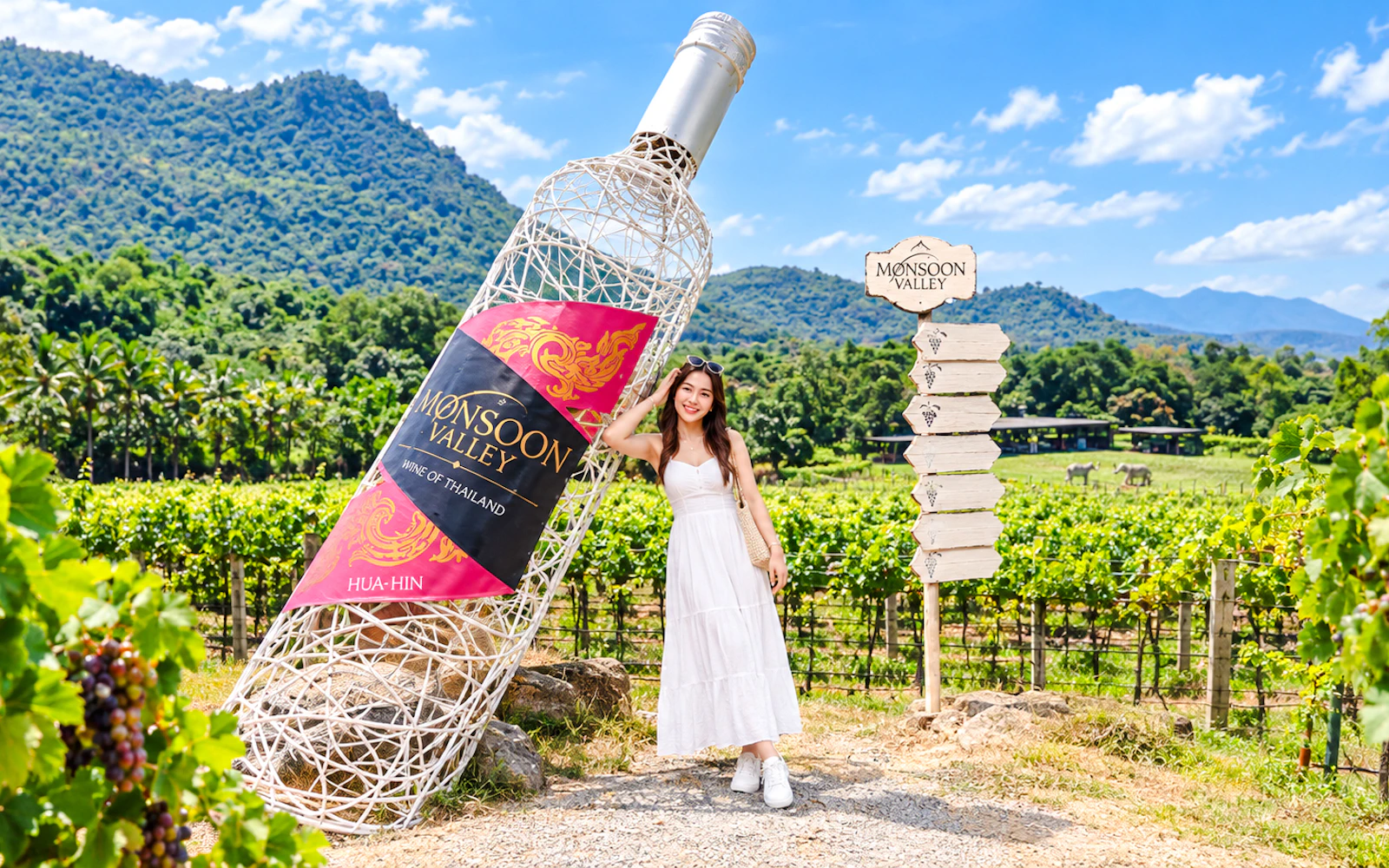 From Bangkok: Hua Hin Private Van Day Trip to Maruekhathaiyawan Palace, Railway Station & Monsoon Valley Vineyard (Product 56168)