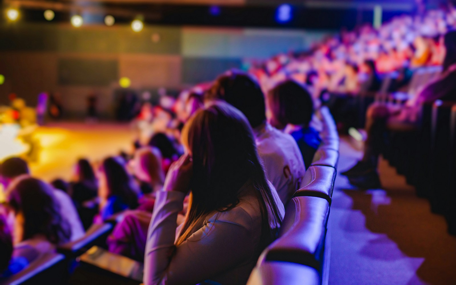 Audience seated at an amphitheatre during a live performance.