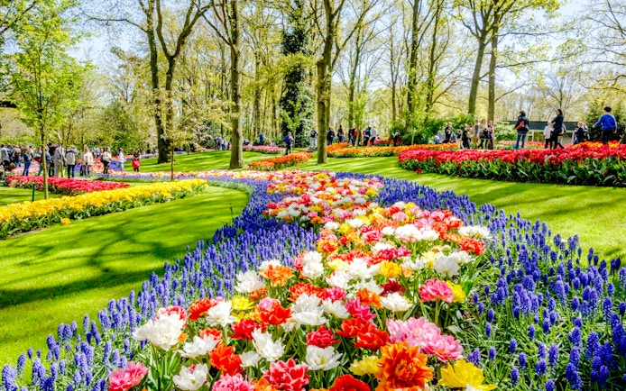Visitors exploring vibrant tulip displays at Keukenhof Gardens, Amsterdam.
